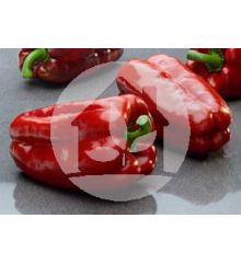 Pimiento tipo Lamuyo infante