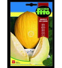 Melon Amarillo 