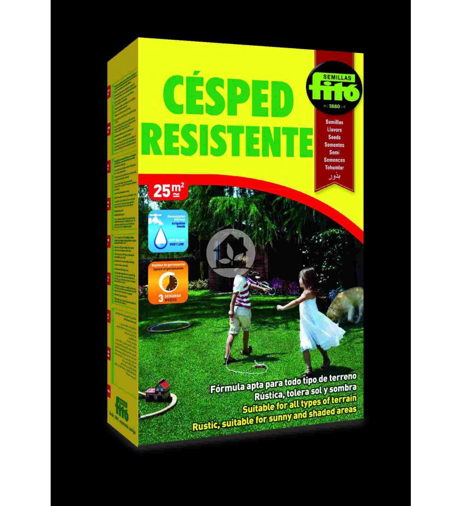 Césped Resistente Césped Resistente