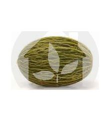 Melón Piel de sapo