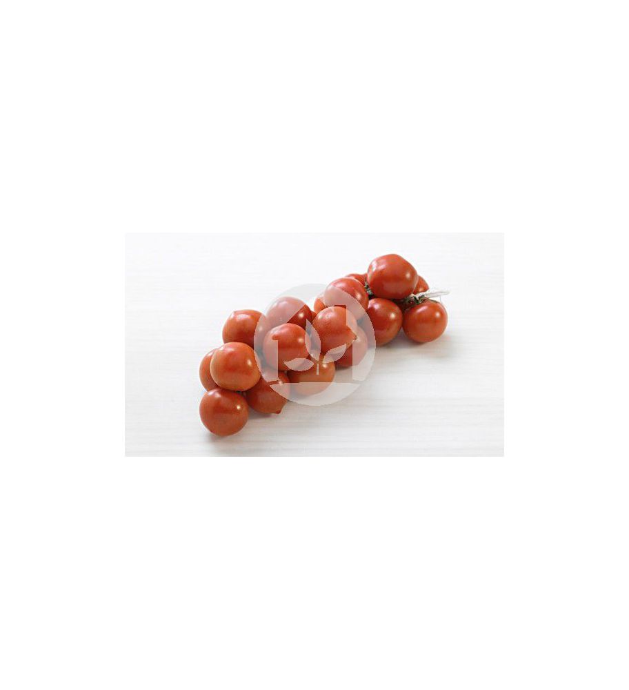Tomate de Colgar o mallorquín