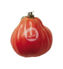 Tomate  Mata -de Corazón de Buey