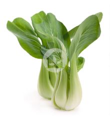 Pak Choi