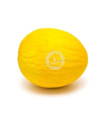 Melón amarillo Canario