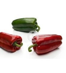 Pimiento Gordo