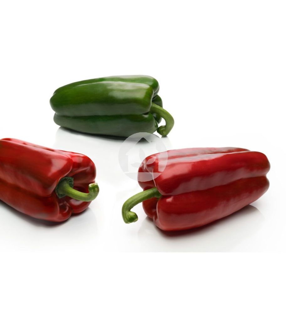 Pimiento Gordo