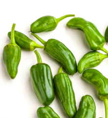 Pimiento de Padrón Dulce