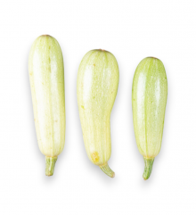 Calabacín blanco