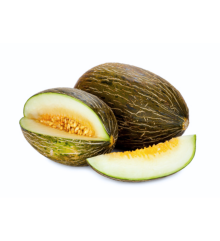Melón Piel De Sapo INJERTADO EN CALABAZA