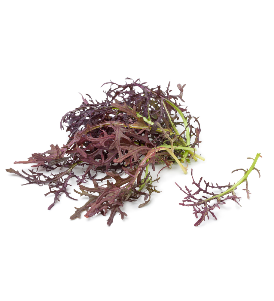 Mizuna Purpura Mizuna Purpura