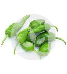 Pimiento de Padrón