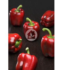 PIMIENTO CALIFORNIA